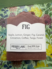Fig